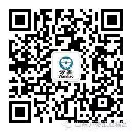 爱体育官方网页版